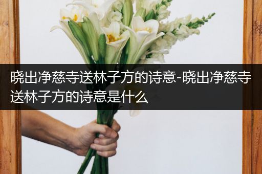 晓出净慈寺送林子方的诗意-晓出净慈寺送林子方的诗意是什么