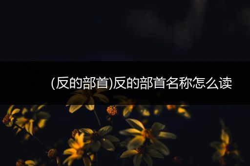 （反的部首)反的部首名称怎么读