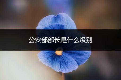 公安部部长是什么级别