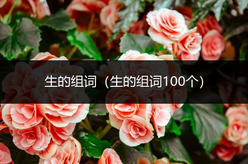 生的组词（生的组词100个）