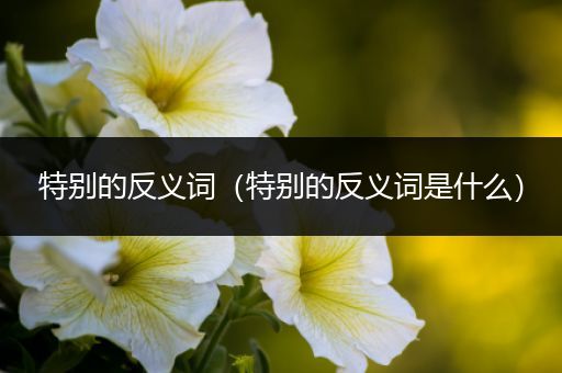 特别的反义词（特别的反义词是什么）