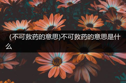 （不可救药的意思)不可救药的意思是什么