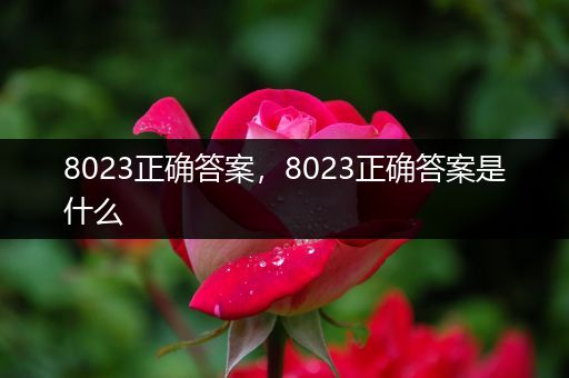 8023正确答案，8023正确答案是什么