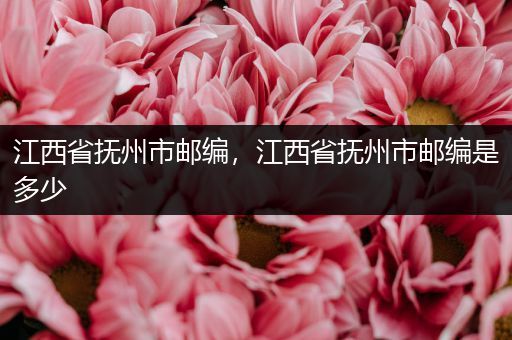 江西省抚州市邮编，江西省抚州市邮编是多少