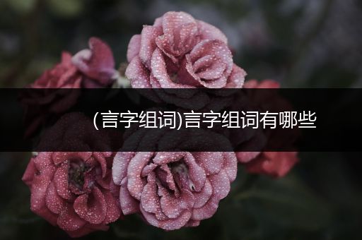 （言字组词)言字组词有哪些