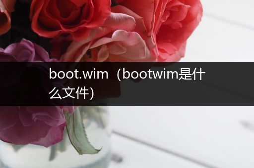 boot.wim（bootwim是什么文件）