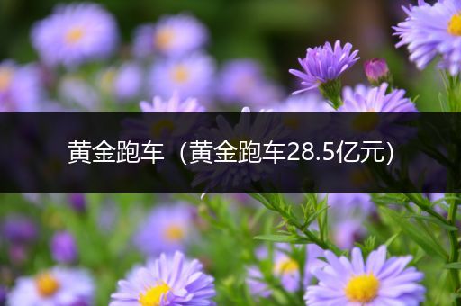 黄金跑车（黄金跑车28.5亿元）