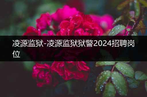 凌源监狱-凌源监狱狱警2024招聘岗位