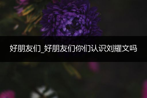 好朋友们_好朋友们你们认识刘耀文吗