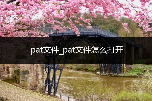 pat文件_pat文件怎么打开