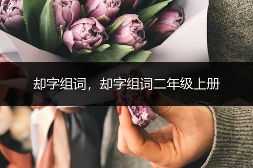 却字组词，却字组词二年级上册