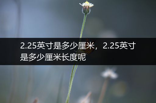 2.25英寸是多少厘米，2.25英寸是多少厘米长度呢