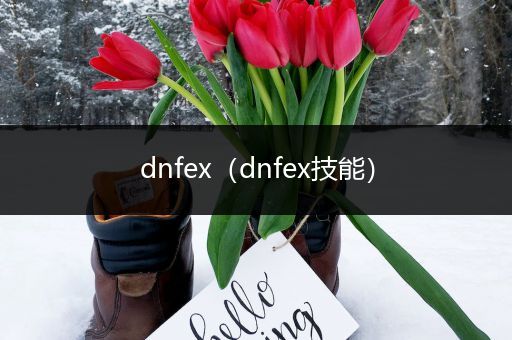 dnfex（dnfex技能）