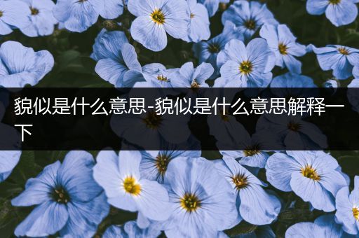 貌似是什么意思-貌似是什么意思解释一下