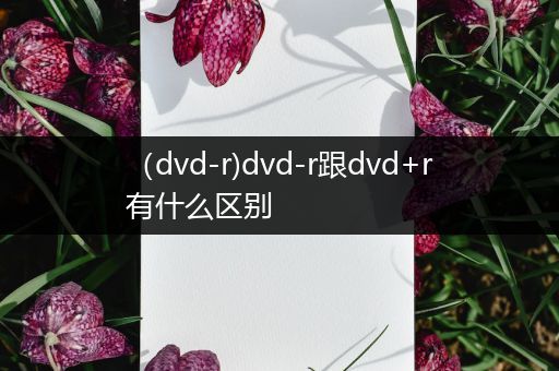 （dvd-r)dvd-r跟dvd+r有什么区别