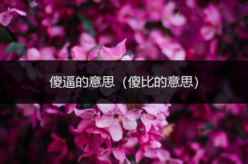 傻逼的意思（傻比的意思）