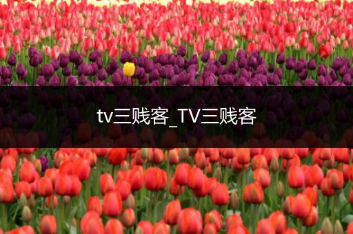 tv三贱客_TV三贱客