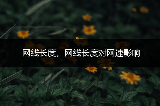 网线长度，网线长度对网速影响