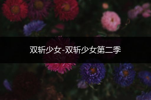 双斩少女-双斩少女第二季