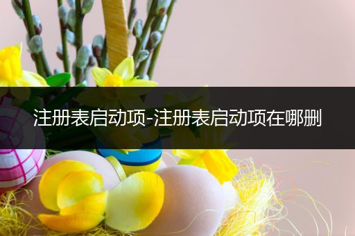 注册表启动项-注册表启动项在哪删