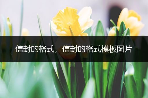 信封的格式，信封的格式模板图片