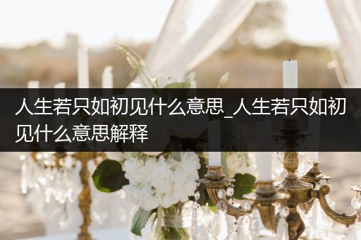 人生若只如初见什么意思_人生若只如初见什么意思解释