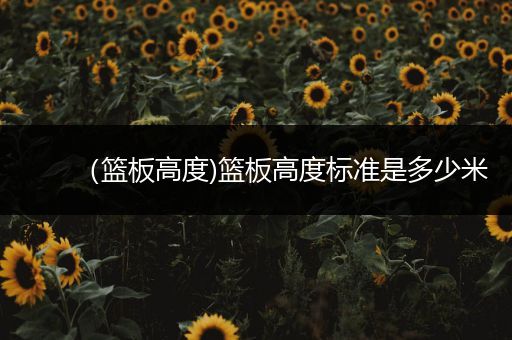 （篮板高度)篮板高度标准是多少米