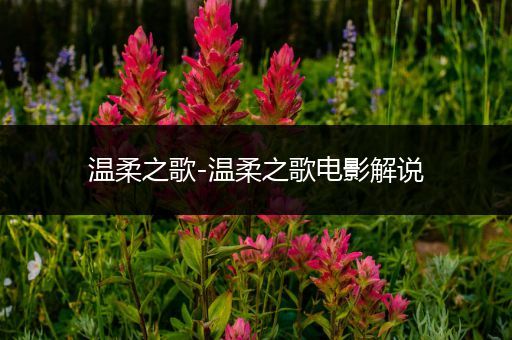 温柔之歌-温柔之歌电影解说