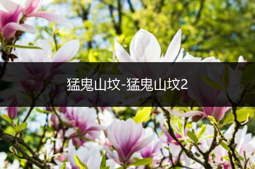 猛鬼山坟-猛鬼山坟2