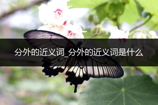 分外的近义词_分外的近义词是什么
