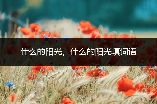 什么的阳光，什么的阳光填词语
