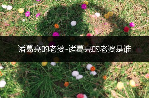 诸葛亮的老婆-诸葛亮的老婆是谁