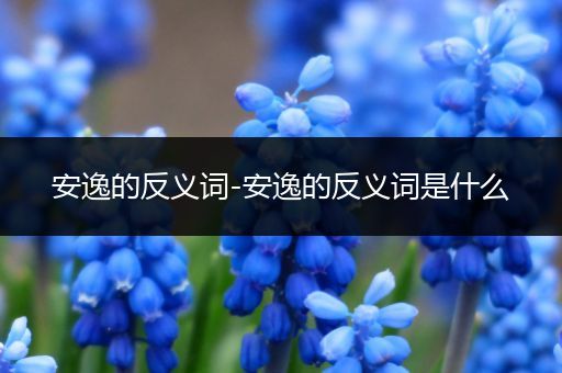 安逸的反义词-安逸的反义词是什么