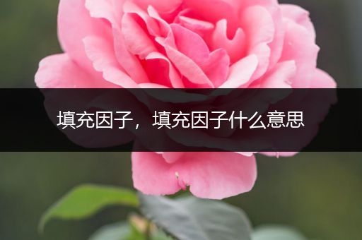 填充因子，填充因子什么意思