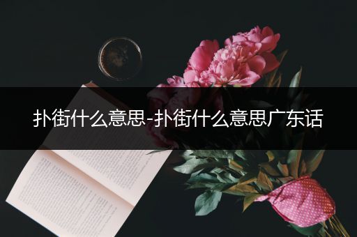 扑街什么意思-扑街什么意思广东话