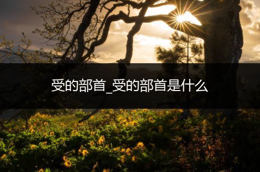受的部首_受的部首是什么