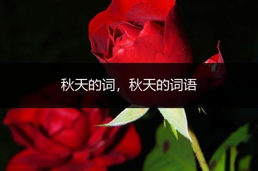 秋天的词，秋天的词语