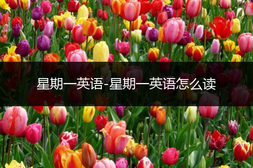 星期一英语-星期一英语怎么读