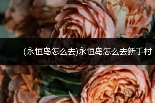 （永恒岛怎么去)永恒岛怎么去新手村