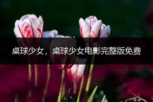 桌球少女，桌球少女电影完整版免费