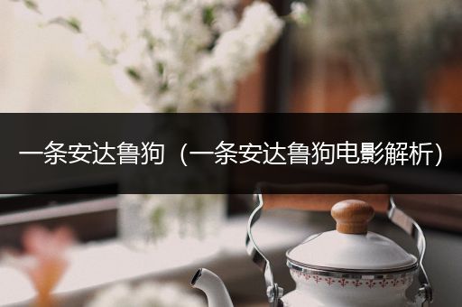 一条安达鲁狗（一条安达鲁狗电影解析）