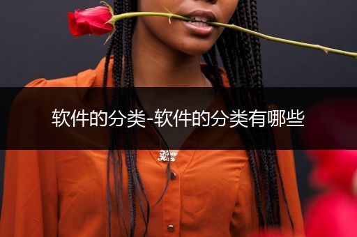 软件的分类-软件的分类有哪些