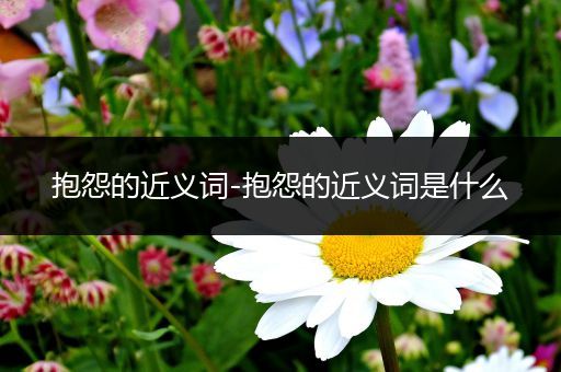抱怨的近义词-抱怨的近义词是什么