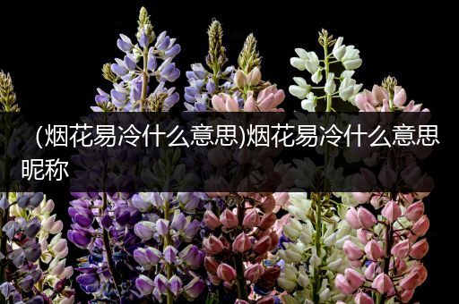 （烟花易冷什么意思)烟花易冷什么意思昵称