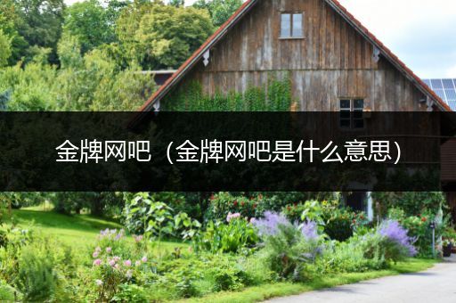 金牌网吧（金牌网吧是什么意思）