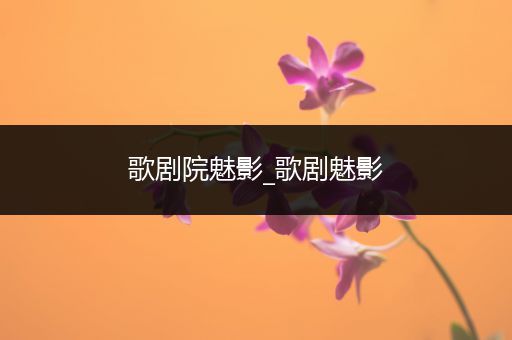 歌剧院魅影_歌剧魅影