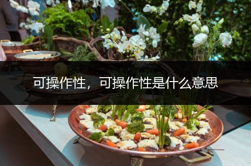 可操作性，可操作性是什么意思