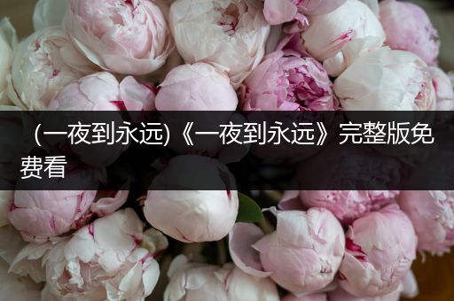 （一夜到永远)《一夜到永远》完整版免费看