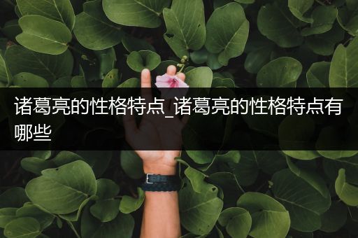 诸葛亮的性格特点_诸葛亮的性格特点有哪些