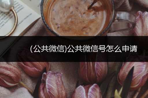 （公共微信)公共微信号怎么申请